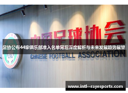足协公布44家俱乐部准入名单背后深度解析与未来发展趋势展望