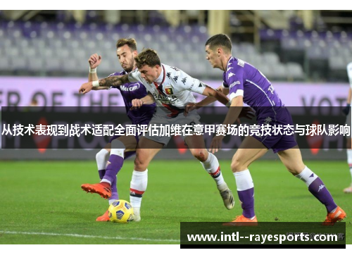 从技术表现到战术适配全面评估加维在意甲赛场的竞技状态与球队影响